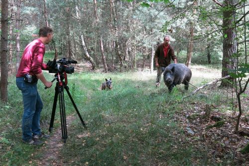 Foto: DVD s příběhy zvířecích hrdinů chtějí ochranáři z Plzně dodělat na jaře