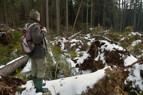 Foto: Kalamita na Šumavě: Vítr způsobil polomy v objemu 31 tisíc m3 