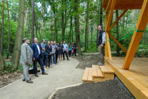 Foto: Město upravilo lesopark Ostende, je atraktivnější pro návštěvníky 