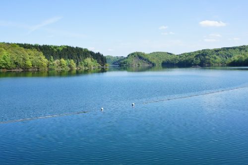 Foto: Plzeňský kraj se připravuje na nedostatek vody