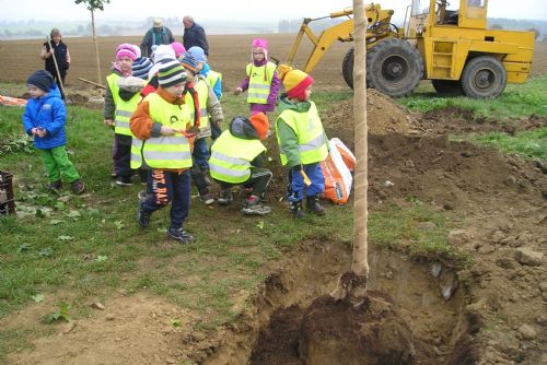 Foto: V Erpužicích vysadili alej jako přírodní větrolam 