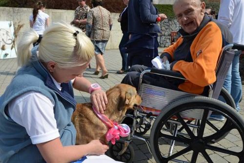 Foto: V Plzni začne fungovat první mobilní hospic