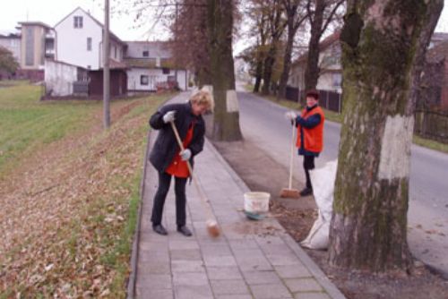 Foto: Zelení v Plzni v sobotu zlikvidují další černé skládky. Nebude chybět ani tradiční piknik