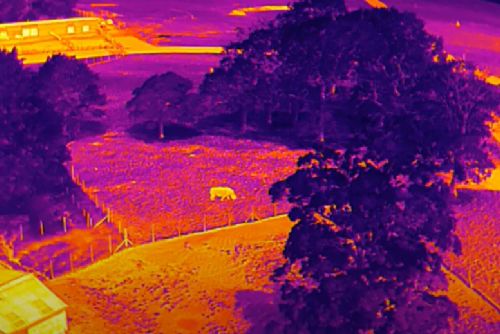 obrázek:Dronem proti zimním zlodějům, policisté kontrolovali chaty termovizí