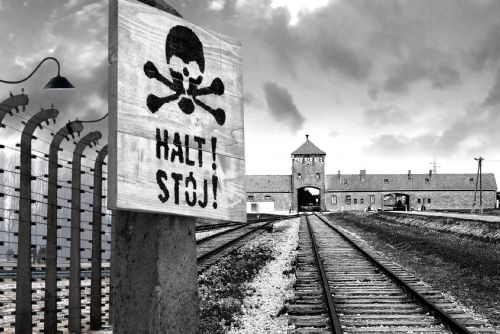 obrázek:Jak si Česko připomíná holokaust? Výzkum mapuje stovky pomníků i „kameny zmizelých“