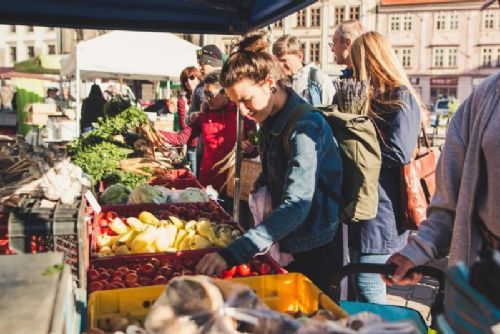 obrázek:Kam o víkendu na Plzeňsku? Trhy, zabijačka, koncerty i vyhánění zimy