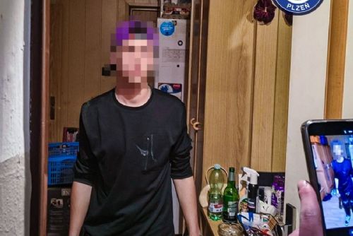 obrázek:Kdo je tady opilý? Hádka matky a syna v Plzni skončila příjezdem strážníků i policie