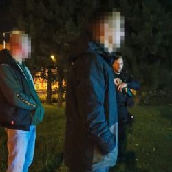 Noční rvačku v Plzni ukončil až policejní taser