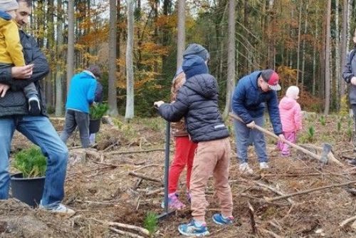 Foto: Plzeň zve na Den pro les: sázení stromů a zábava pro rodiny