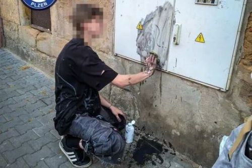 obrázek:Pouliční umění mu dlouho nevydrželo. Mladík musel kresbu z rozvodné skříně odstranit