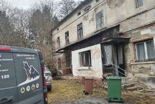 obrázek:Psi v hrůzných podmínkách na Domažlicku - majiteli hrozí vězení