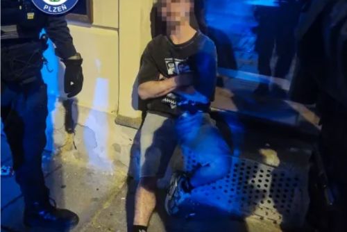 obrázek:Rvačku v centru Plzně zastavila až hrozba taserem. Muži nadýchali skoro dvě promile