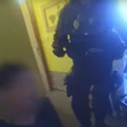 Strážníci v Plzni zachránili seniorku zaklíněnou v komoře