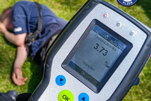 obrázek:Válel se u Mlýnské strouhy s téměř čtyřmi promile. Tvrdil, že ho někdo kopl do hlavy