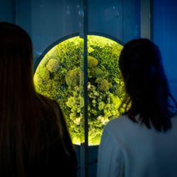 Zelená Techmania startuje environmentální program s tématem mokřady