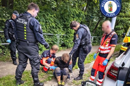 obrázek:Agresivní muž ničil v Plzni lavičky a utíkal před strážníky. Honička skončila u řeky