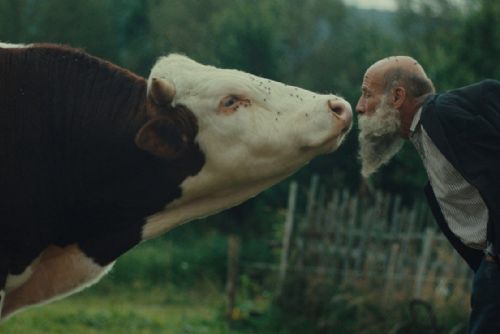 obrázek: „Raději zešílet v divočině“, projekce unikátního filmu o šumavských podivínech, debata s autorem