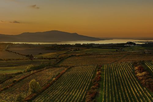 obrázek:Rezidence Pálava: zážitky mezi vinicemi a Pavlovskými vrchy