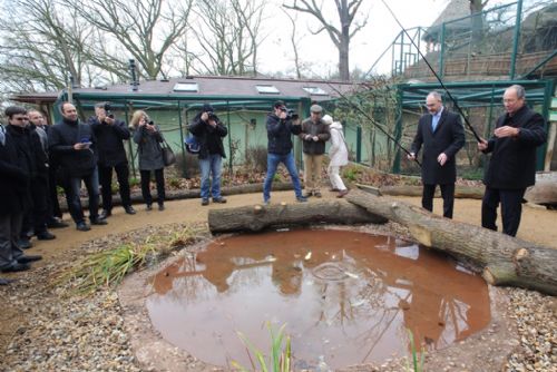 Obrázek - Jaký byl rok 2014 v plzeňské zoo?