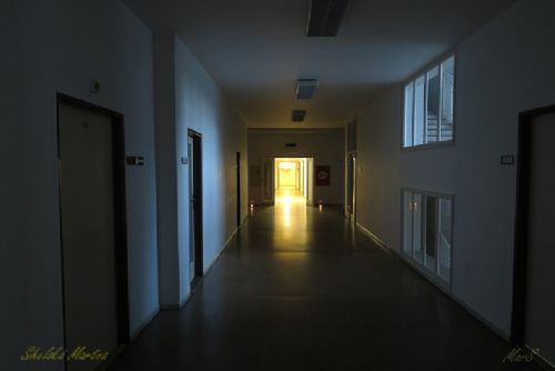 Obrázek - 