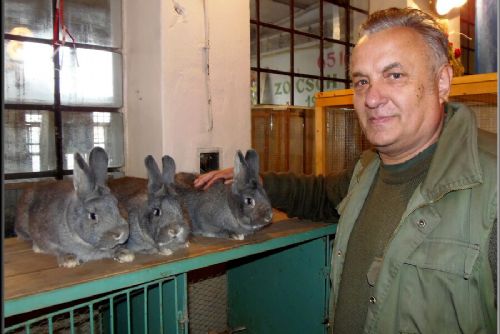 Obrázek - CHOVATELÉ MĚLI VELKOU ÚČAST