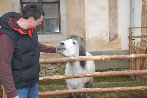 Obrázek - KLADRUBY OŽILY JARMARKEM I KONCERTEM