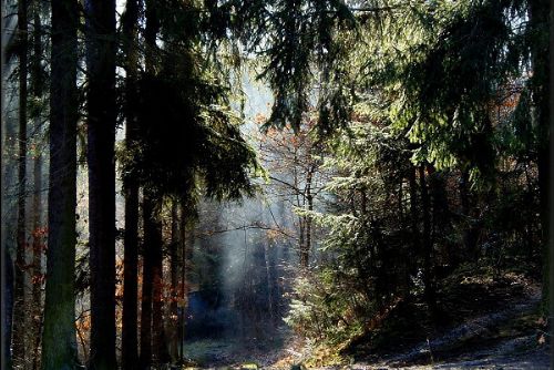 Obrázek - TURISTÉ SE VYDALI NA 14 KILOMETRŮ DLOUHOU TRASU KOLEM PŘEHRADY