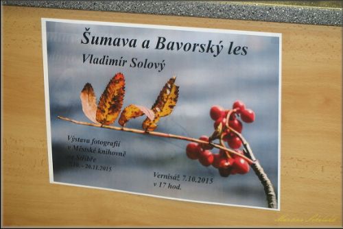 Obrázek - VE STŘÍBŘE JE K VIDĚNÍ ŠUMAVA A BAVORSKÝ LES