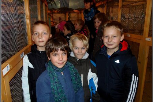 Obrázek - VE STŘÍBŘE VYSTAVOVALI EXTOTY