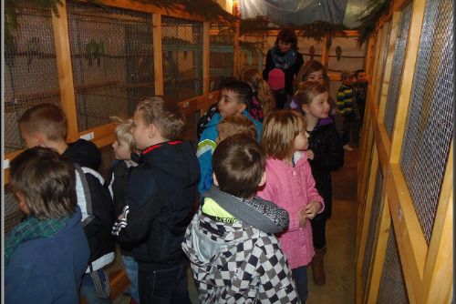 Obrázek - VE STŘÍBŘE VYSTAVOVALI EXTOTY