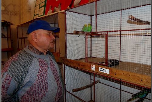 Obrázek - VE STŘÍBŘE VYSTAVOVALI EXTOTY