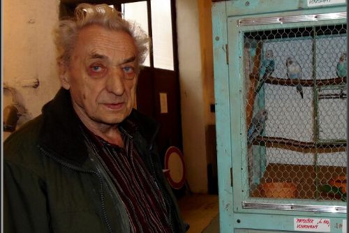 Obrázek - VE STŘÍBŘE VYSTAVOVALI EXTOTY