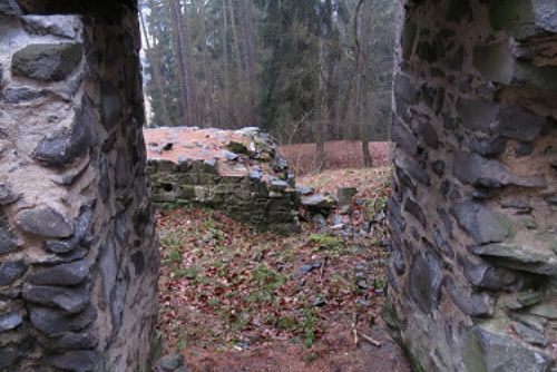 Obrázek - VYRAZILI NA VOLFŠTEJN, MLHA JE NEODRADILA!