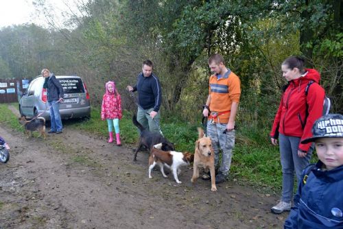 Obrázek - ZÁCHRANNÁ STANICE VYVEDLA SVÉ SVĚŘENCE