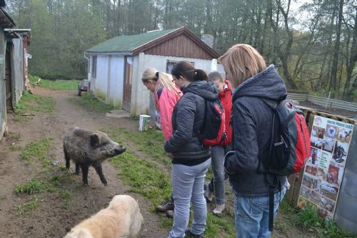 Obrázek - ZÁCHRANNÁ STANICE VYVEDLA SVÉ SVĚŘENCE