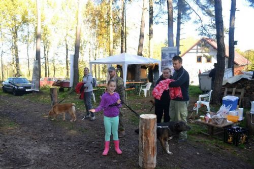 Obrázek - ZÁCHRANNÁ STANICE VYVEDLA SVÉ SVĚŘENCE