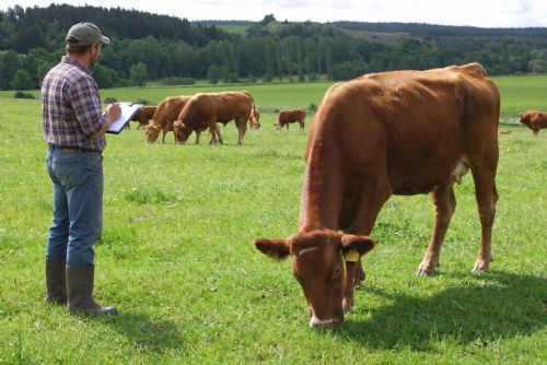 obrázek:Agrocenzus 2026 začal v Česku. Farmáři musí do 12. října odevzdat výkaz