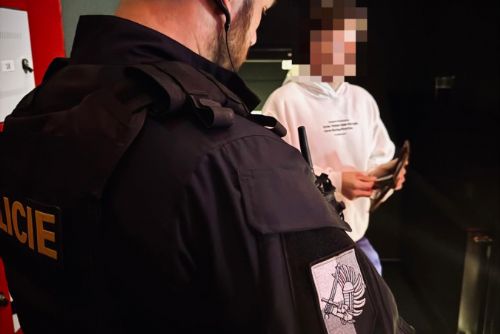 obrázek:Bary, kluby i ulice pod dohledem. Víkendová noční akce v Plzni odhalila řadu přestupků