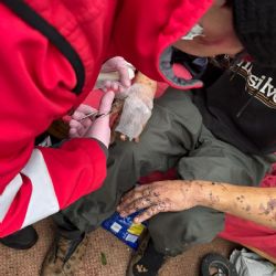 Nouzové centrum je znovu otevřené, Červený kříž zveřejnil video