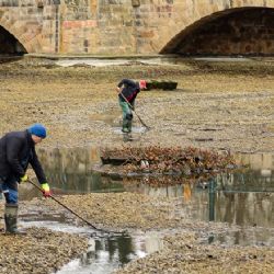 Plzeň zahájí jarní čištění Mlýnské strouhy, ryby dočasně putují do sádek