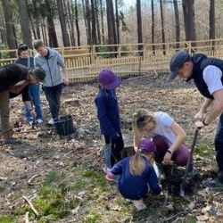 Plzeň zve na Den pro les - sázejte 4 000 stromků na Zábělé