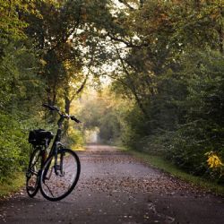 Plzeňský kraj nasype rekordních 70 milionů do cyklostezek