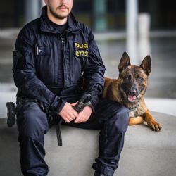 Policejní pes Gambit zachránil muže před sebevraždou na kolejích