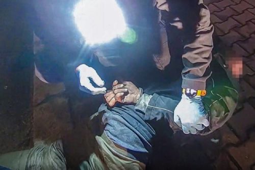 obrázek:Věčný potížista v Plzni znovu řádil. Strážníci ho letos řešili už po pětapadesáté