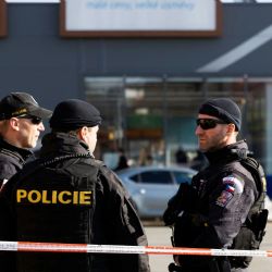 Vražda v plzeňském parčíku - policie zadržela podezřelého