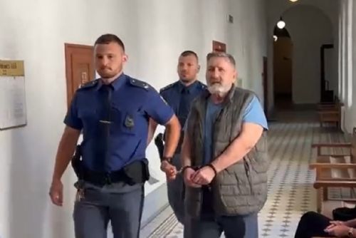 obrázek:Vrchní soud zpřísnil trest pro vraha turisty v Českém lese