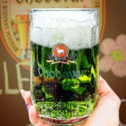 Zelené pivo zaplavilo Plzeňsko. Už jste letos ochutnali velikonoční speciály?