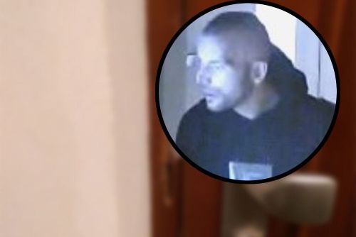 obrázek:Zloděj na Skvrňanech se vloupal do domu, škoda za desítky tisíc, policie žádá o pomoc