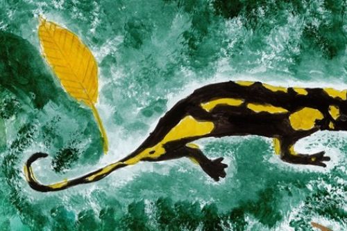 obrázek:Brdy slaví 10 let a zvou děti k tvorbě. Nová soutěž hledá krajinu i zvířata očima mladých