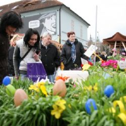 Farmářské trhy se v Plzni kvůli rekonstrukci stěhují. Z náměstí Republiky zamíří k U Zvonu